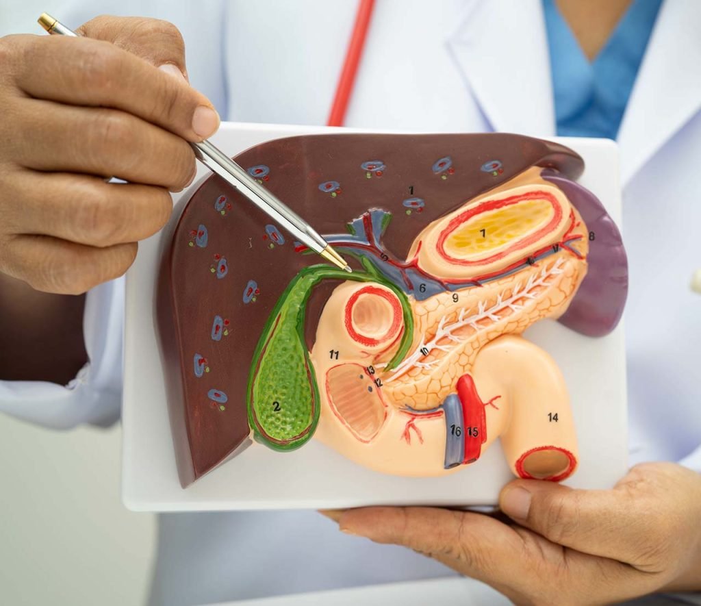 Common Pancreatic Cancer Treatment Options